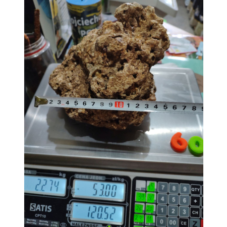 Żywa skała do akwarium morskiego - bryła nr. 60